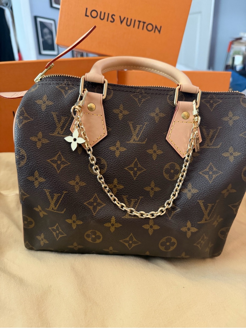 Louis Vuitton Speedy 25 Monogram